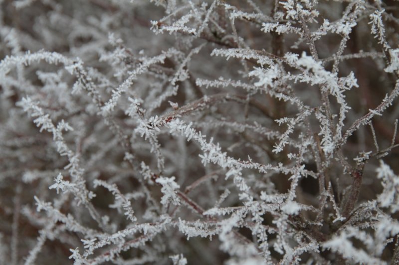 OL_Kurs_Hengsberg__001