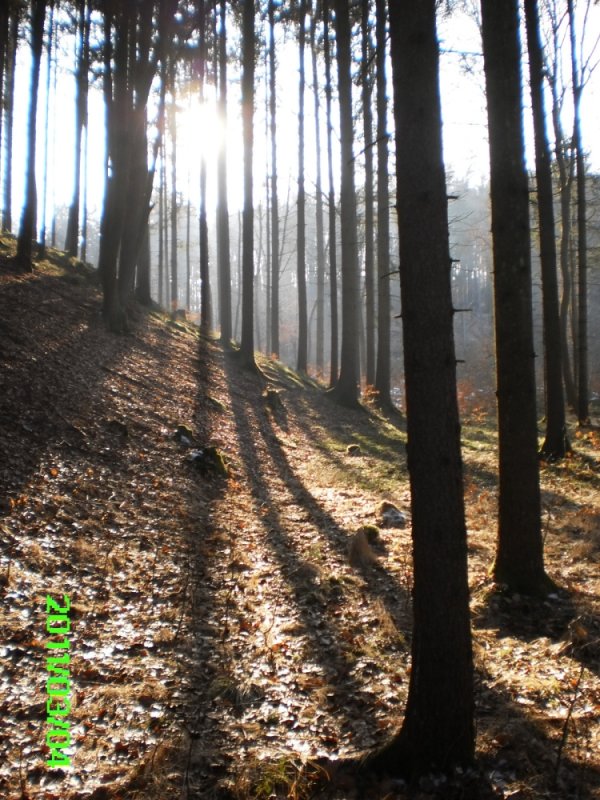 OL_Kurs_Hengsberg__029